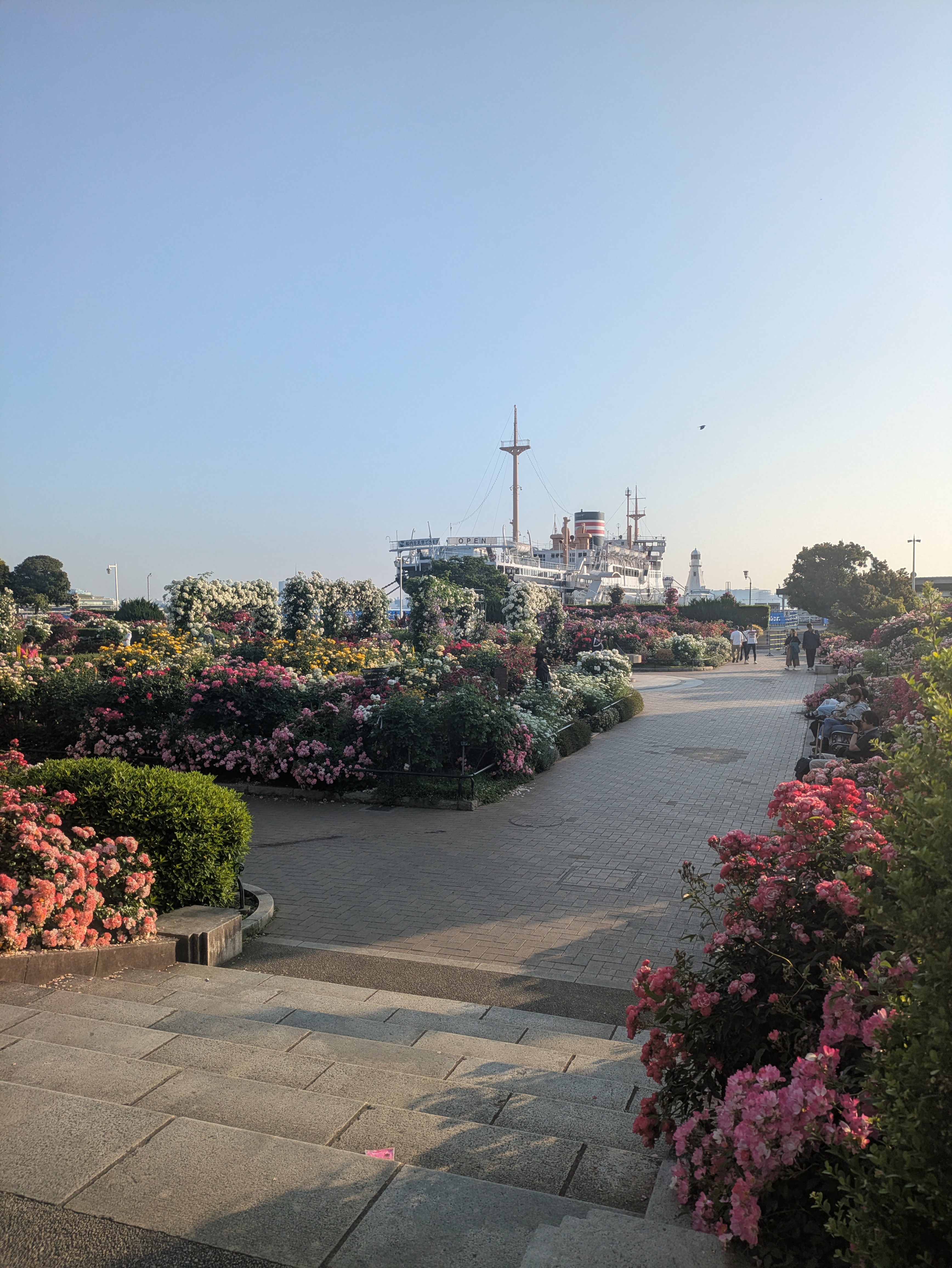 朝の山下公園、氷川丸が背景